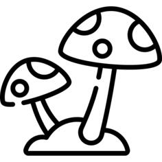 蘑菇