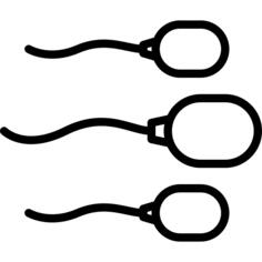 Sperm