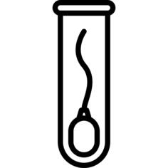 Sperm