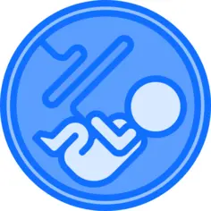 Uterus