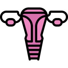 Uterus