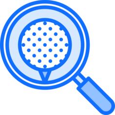 Search