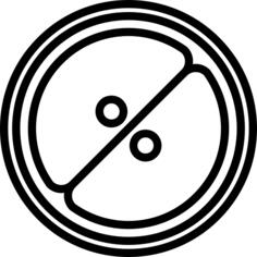 Zygote