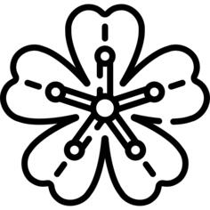 樱