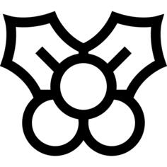 槲寄生