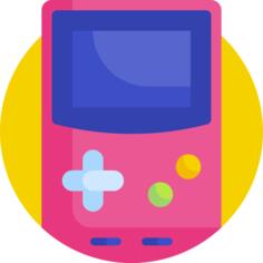 Video console