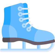 Ice skating