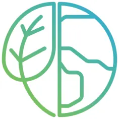 环境