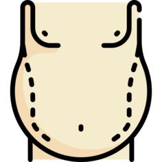 肚皮