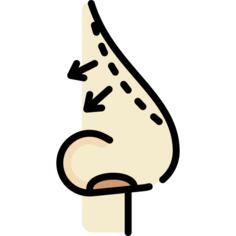 Nose