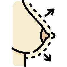 乳房