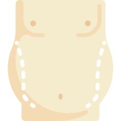 肚皮