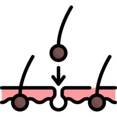 头发