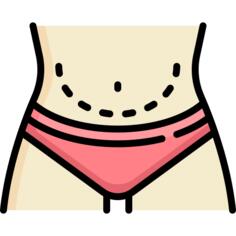 肚皮