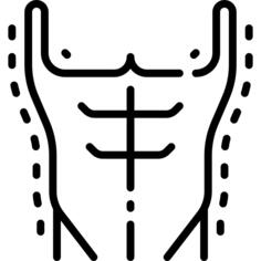 Torso