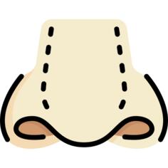 鼻子