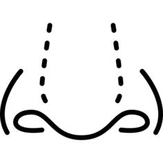 鼻子