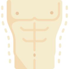 Torso
