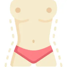 躯干