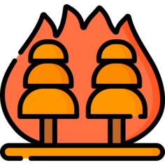 野火