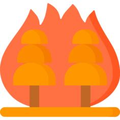 Wildfire