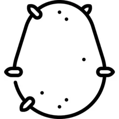 Potato