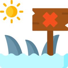 Shark
