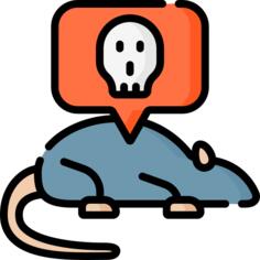 鼠