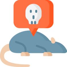 鼠