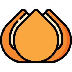 苏打面包