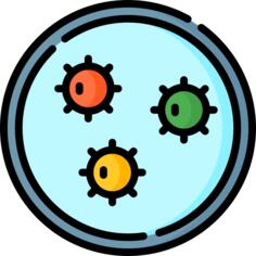 Virus