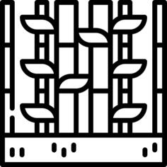 Bamboo