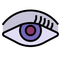 Eye