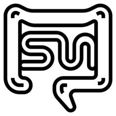Intestine