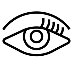 Eye