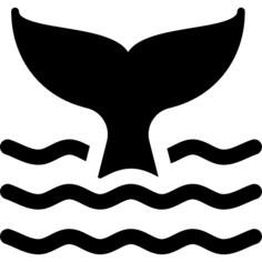 鲸