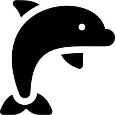 海豚
