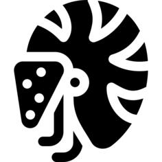 Nautilus