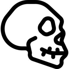 Skull