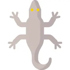 Lizard