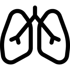 Lung