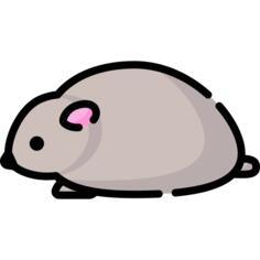 Hamster
