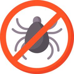 Lice free