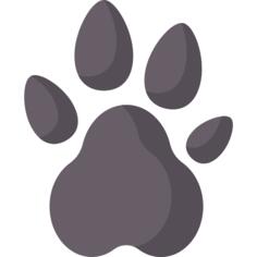 Paw