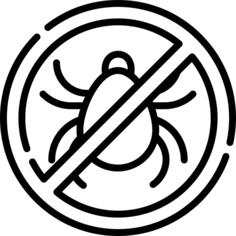 Lice free