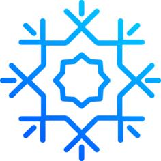 Winter flake