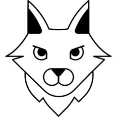土耳其安哥拉猫