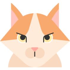 土耳其面包车