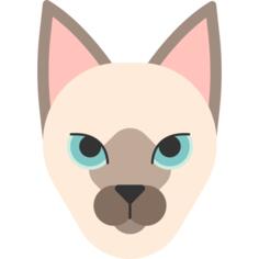 暹罗猫