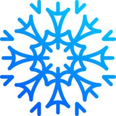 Winter flake